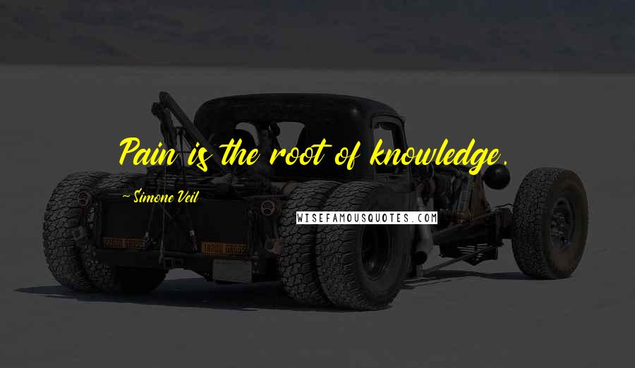 Simone Veil Quotes: Pain is the root of knowledge.
