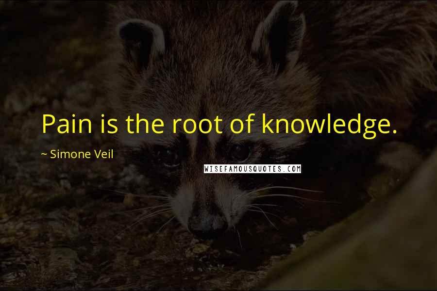 Simone Veil Quotes: Pain is the root of knowledge.