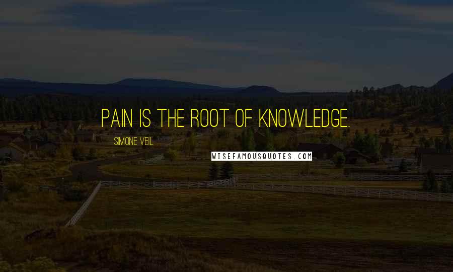 Simone Veil Quotes: Pain is the root of knowledge.