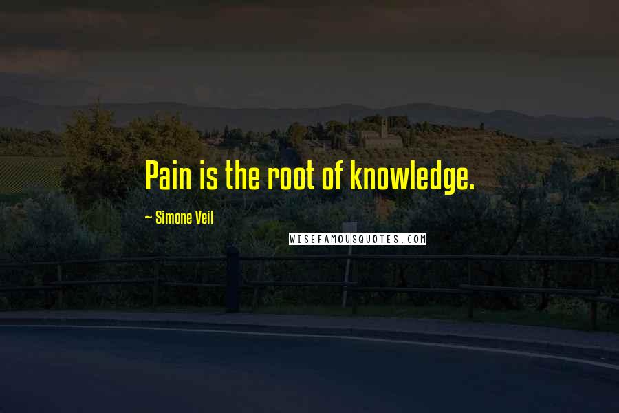 Simone Veil Quotes: Pain is the root of knowledge.