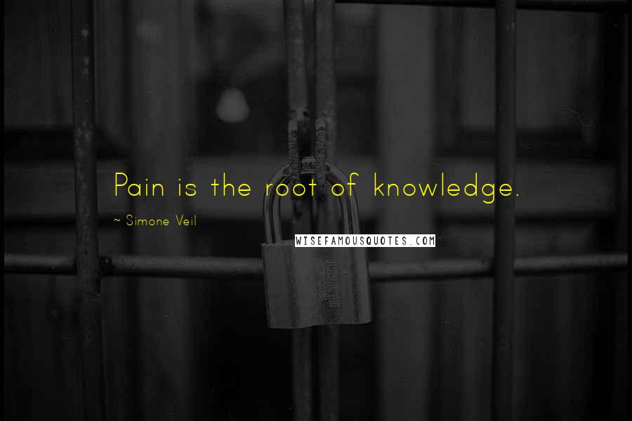 Simone Veil Quotes: Pain is the root of knowledge.