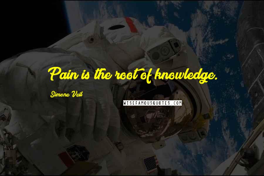 Simone Veil Quotes: Pain is the root of knowledge.