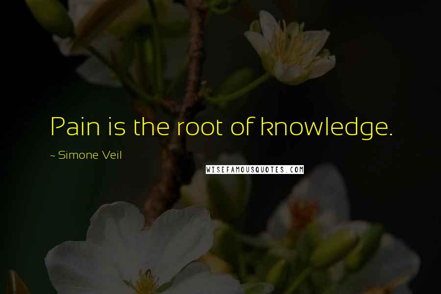 Simone Veil Quotes: Pain is the root of knowledge.