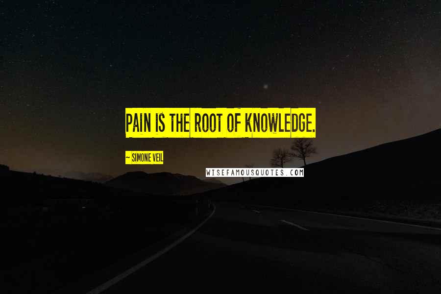 Simone Veil Quotes: Pain is the root of knowledge.