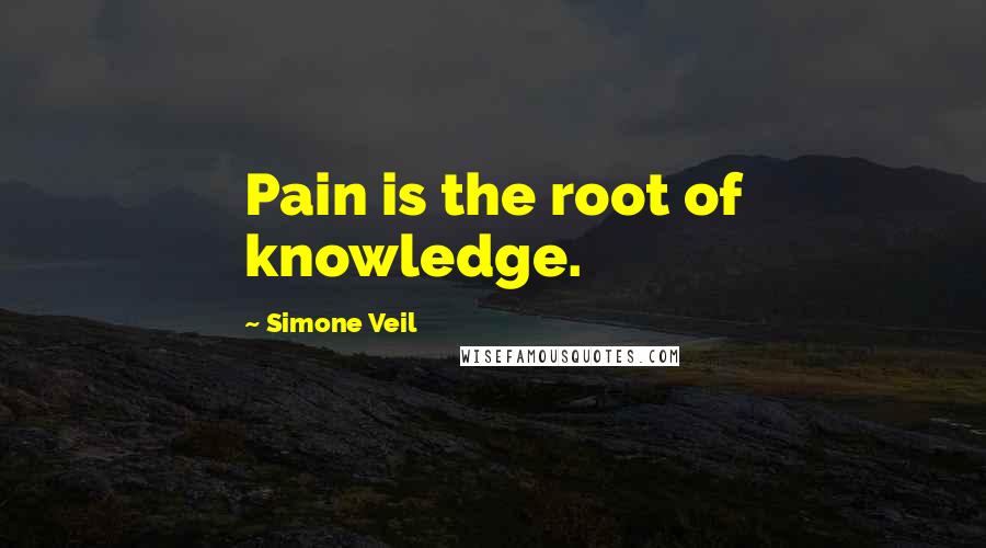 Simone Veil Quotes: Pain is the root of knowledge.