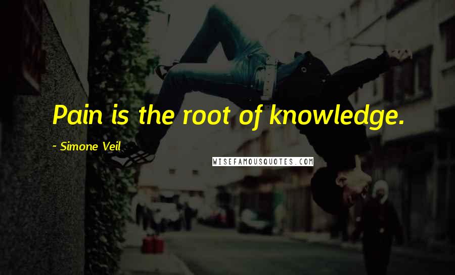 Simone Veil Quotes: Pain is the root of knowledge.