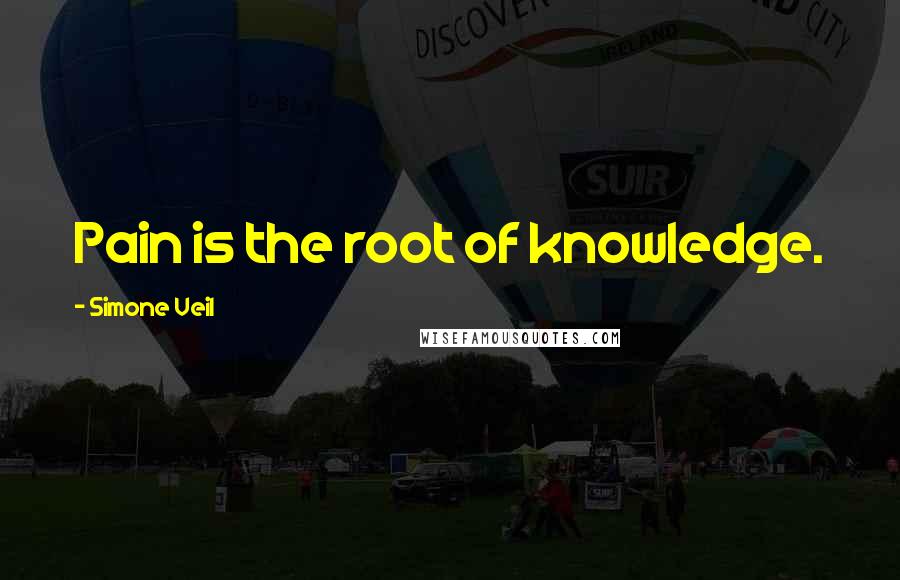 Simone Veil Quotes: Pain is the root of knowledge.