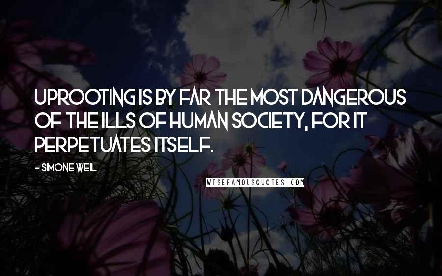 Simone Weil Quotes: Uprooting is by far the most dangerous of the ills of human society, for it perpetuates itself.