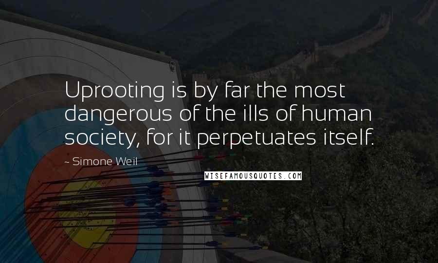 Simone Weil Quotes: Uprooting is by far the most dangerous of the ills of human society, for it perpetuates itself.