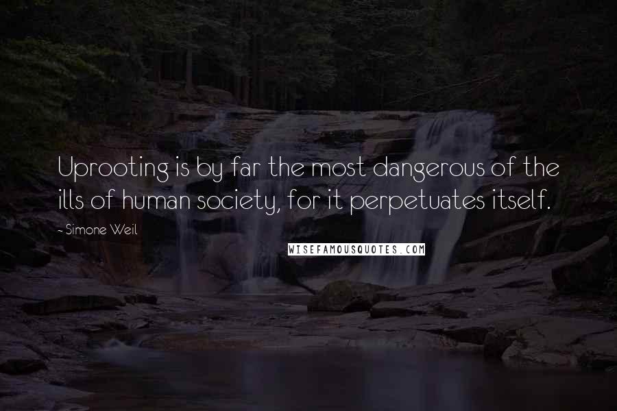 Simone Weil Quotes: Uprooting is by far the most dangerous of the ills of human society, for it perpetuates itself.