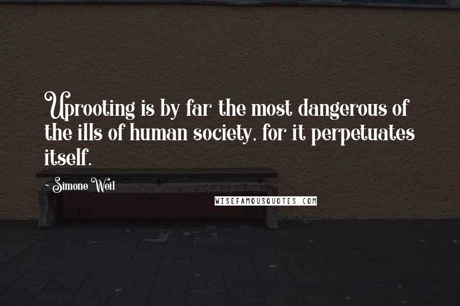 Simone Weil Quotes: Uprooting is by far the most dangerous of the ills of human society, for it perpetuates itself.