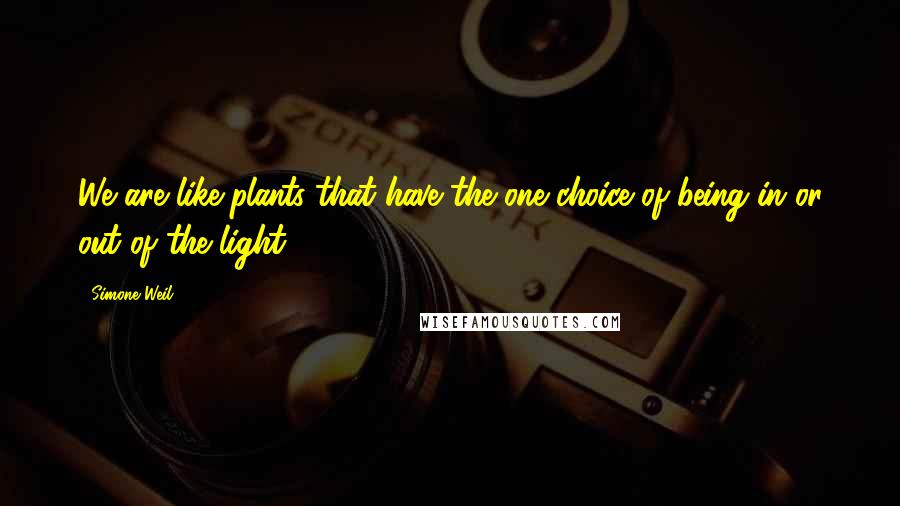 Simone Weil Quotes: We are like plants that have the one choice of being in or out of the light.