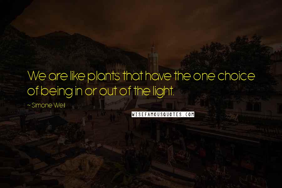 Simone Weil Quotes: We are like plants that have the one choice of being in or out of the light.