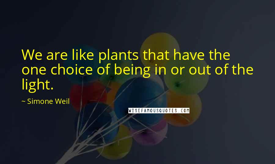 Simone Weil Quotes: We are like plants that have the one choice of being in or out of the light.