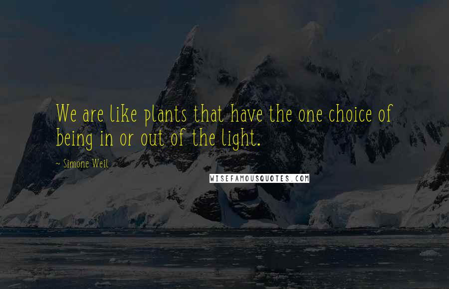 Simone Weil Quotes: We are like plants that have the one choice of being in or out of the light.