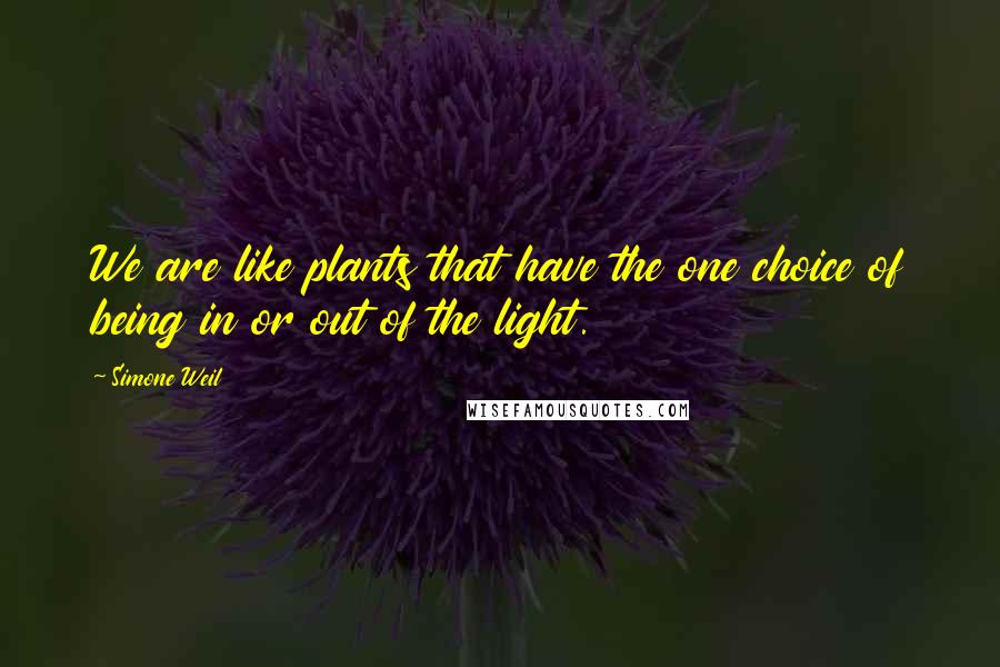 Simone Weil Quotes: We are like plants that have the one choice of being in or out of the light.