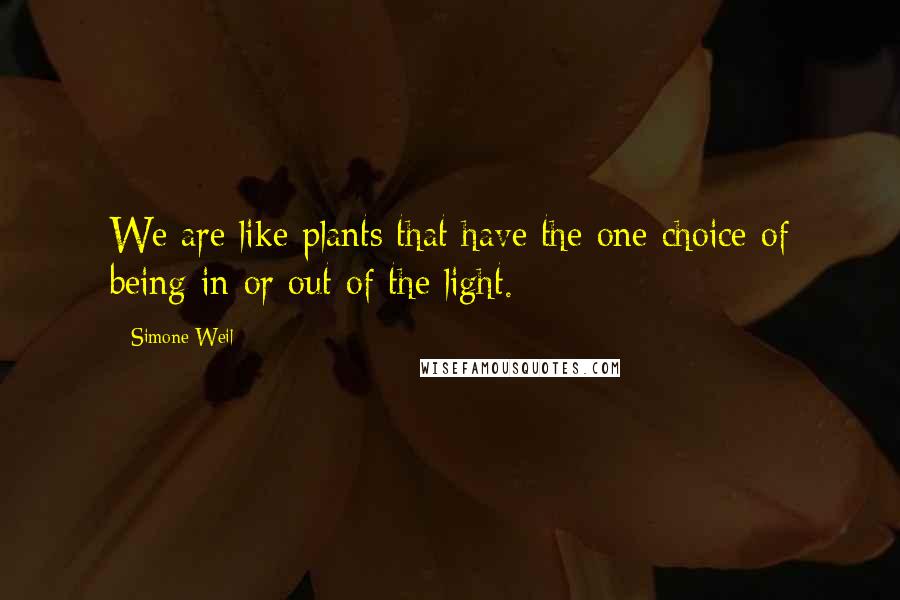 Simone Weil Quotes: We are like plants that have the one choice of being in or out of the light.