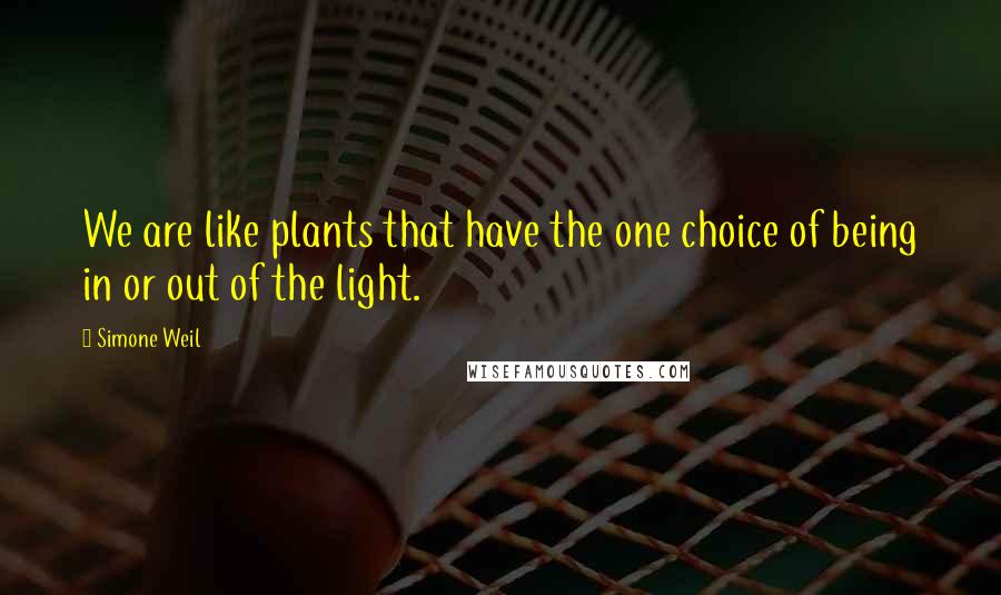 Simone Weil Quotes: We are like plants that have the one choice of being in or out of the light.