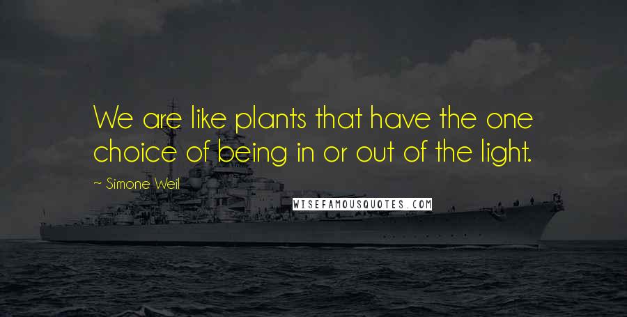 Simone Weil Quotes: We are like plants that have the one choice of being in or out of the light.