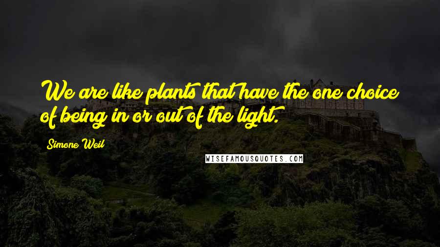 Simone Weil Quotes: We are like plants that have the one choice of being in or out of the light.