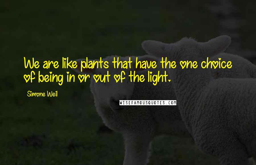 Simone Weil Quotes: We are like plants that have the one choice of being in or out of the light.