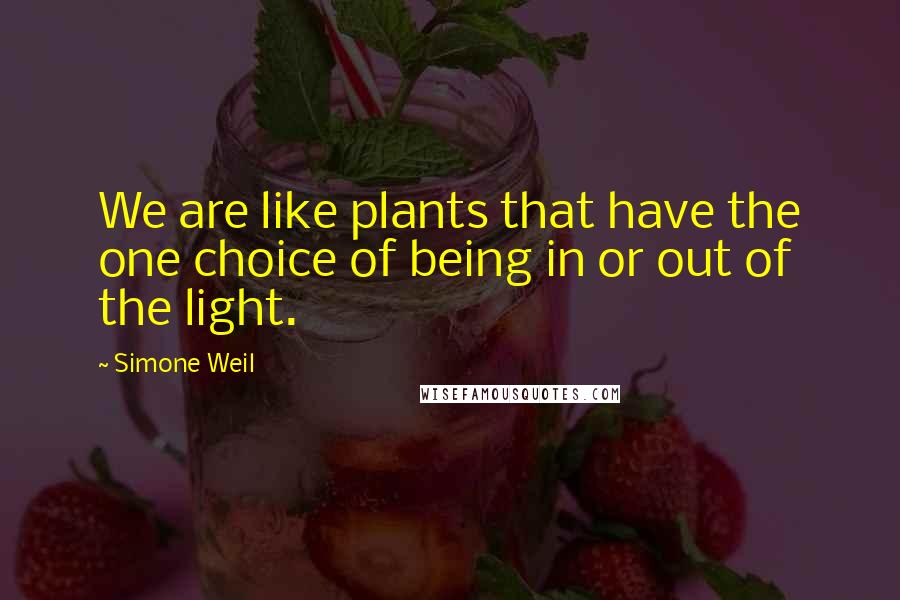 Simone Weil Quotes: We are like plants that have the one choice of being in or out of the light.