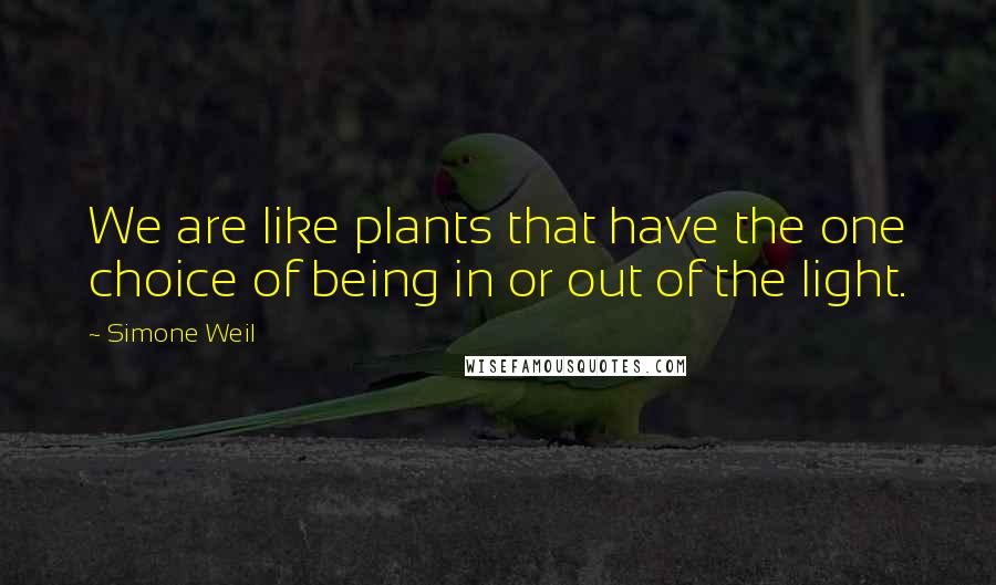 Simone Weil Quotes: We are like plants that have the one choice of being in or out of the light.