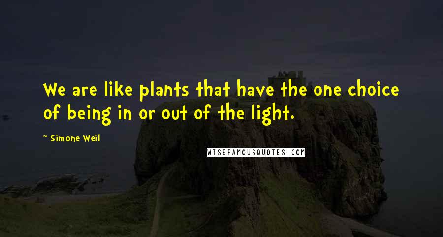 Simone Weil Quotes: We are like plants that have the one choice of being in or out of the light.