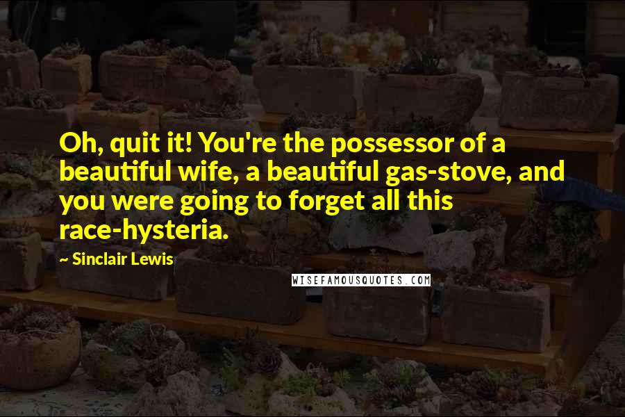 Sinclair Lewis Quotes: Oh, quit it! You're the possessor of a beautiful wife, a beautiful gas-stove, and you were going to forget all this race-hysteria.