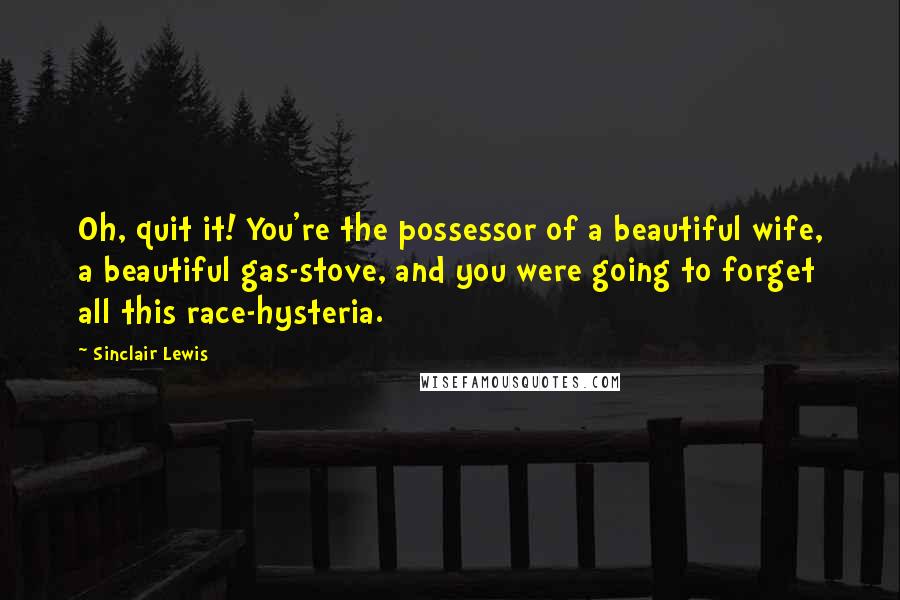 Sinclair Lewis Quotes: Oh, quit it! You're the possessor of a beautiful wife, a beautiful gas-stove, and you were going to forget all this race-hysteria.