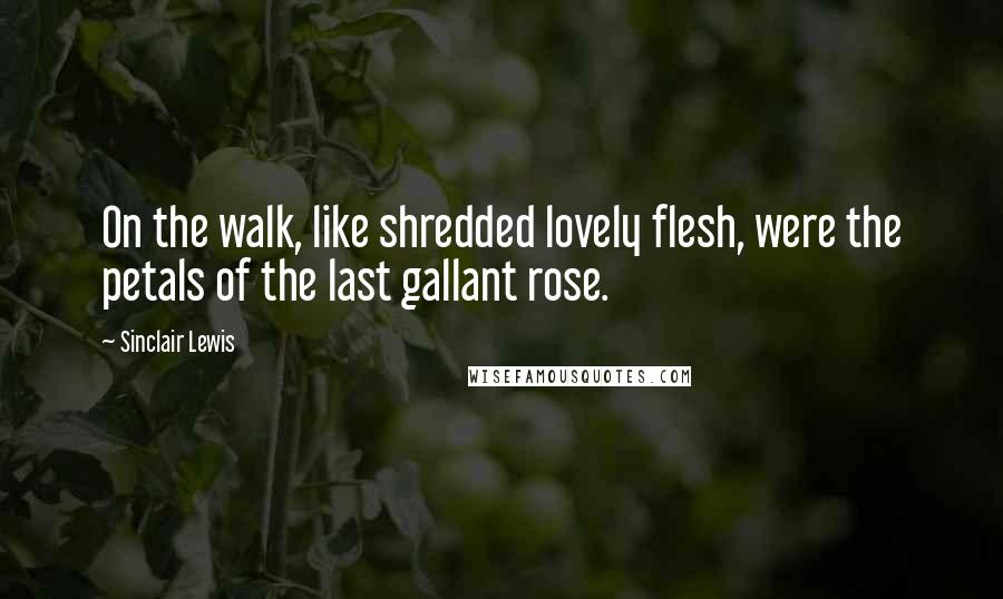 Sinclair Lewis Quotes: On the walk, like shredded lovely flesh, were the petals of the last gallant rose.