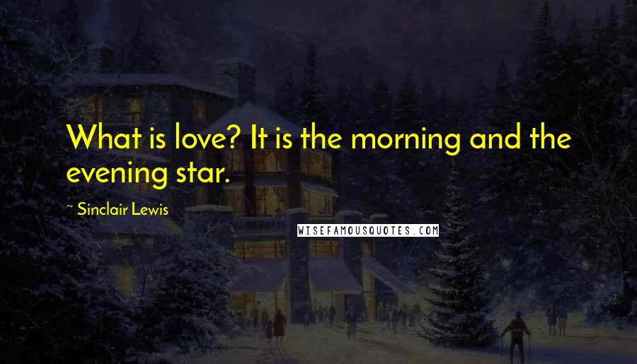 Sinclair Lewis Quotes: What is love? It is the morning and the evening star.