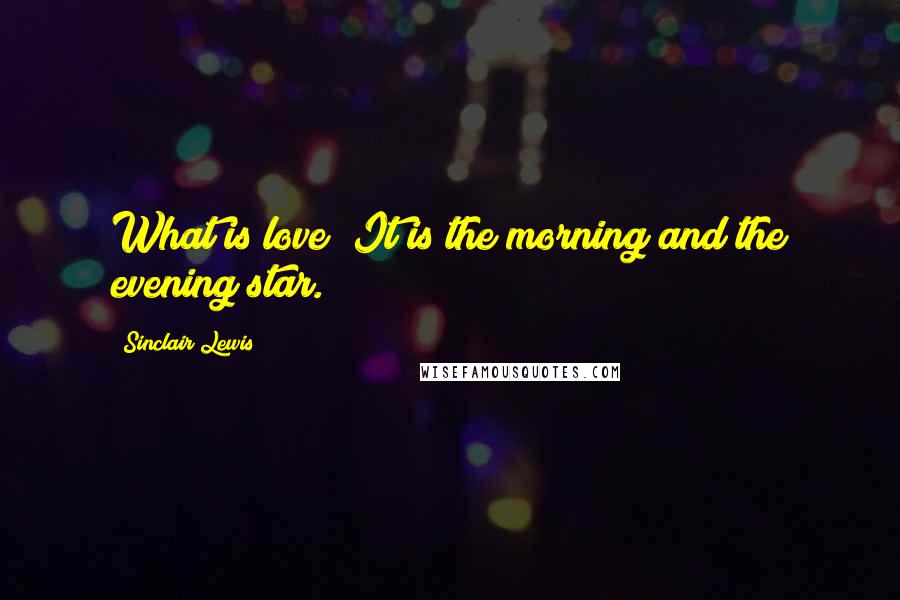 Sinclair Lewis Quotes: What is love? It is the morning and the evening star.