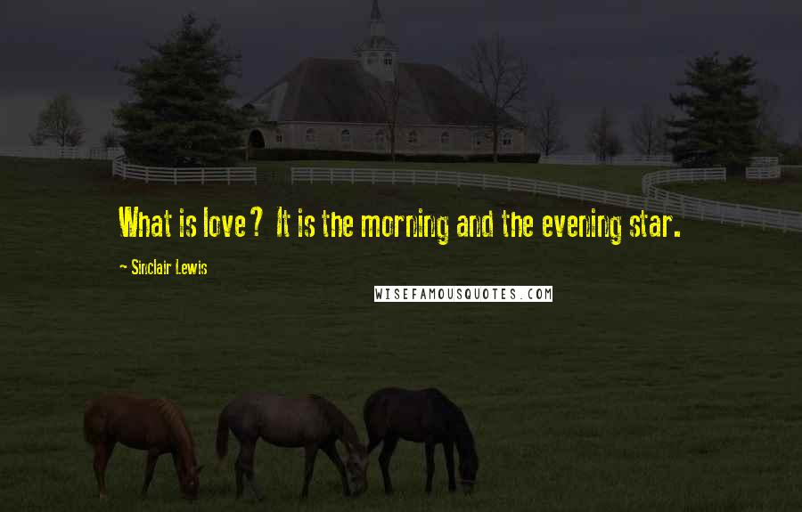 Sinclair Lewis Quotes: What is love? It is the morning and the evening star.