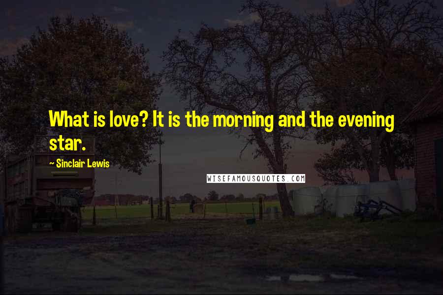 Sinclair Lewis Quotes: What is love? It is the morning and the evening star.