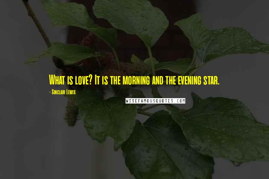 Sinclair Lewis Quotes: What is love? It is the morning and the evening star.