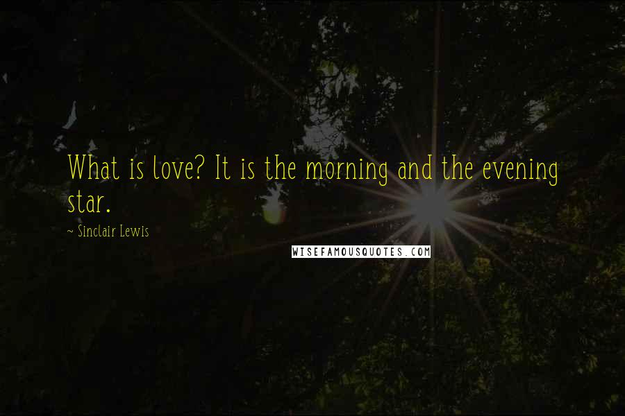 Sinclair Lewis Quotes: What is love? It is the morning and the evening star.