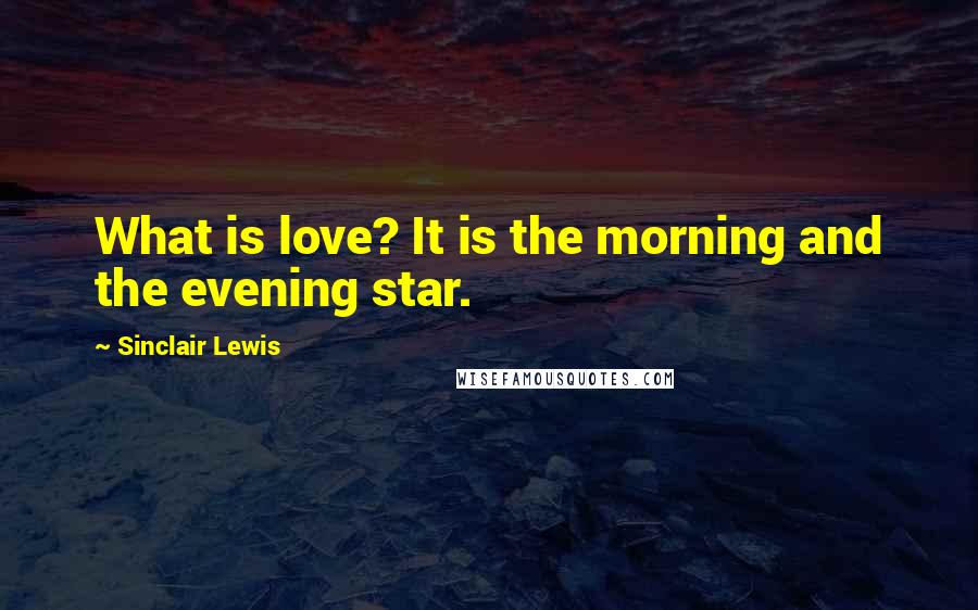 Sinclair Lewis Quotes: What is love? It is the morning and the evening star.