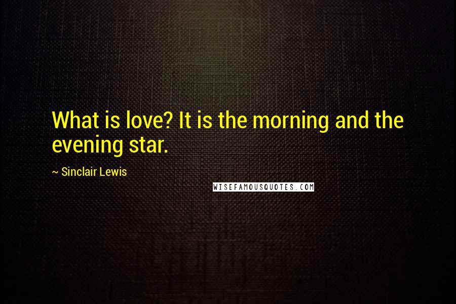 Sinclair Lewis Quotes: What is love? It is the morning and the evening star.