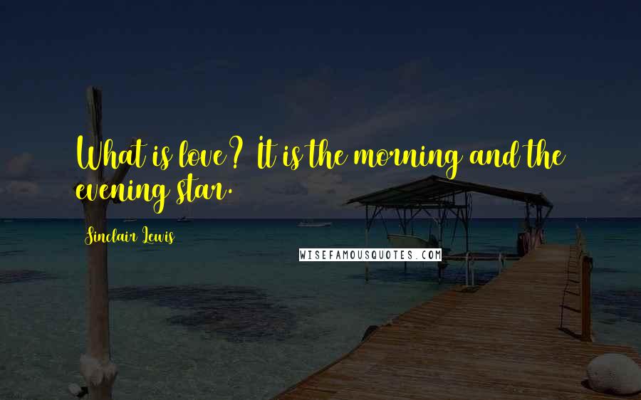 Sinclair Lewis Quotes: What is love? It is the morning and the evening star.