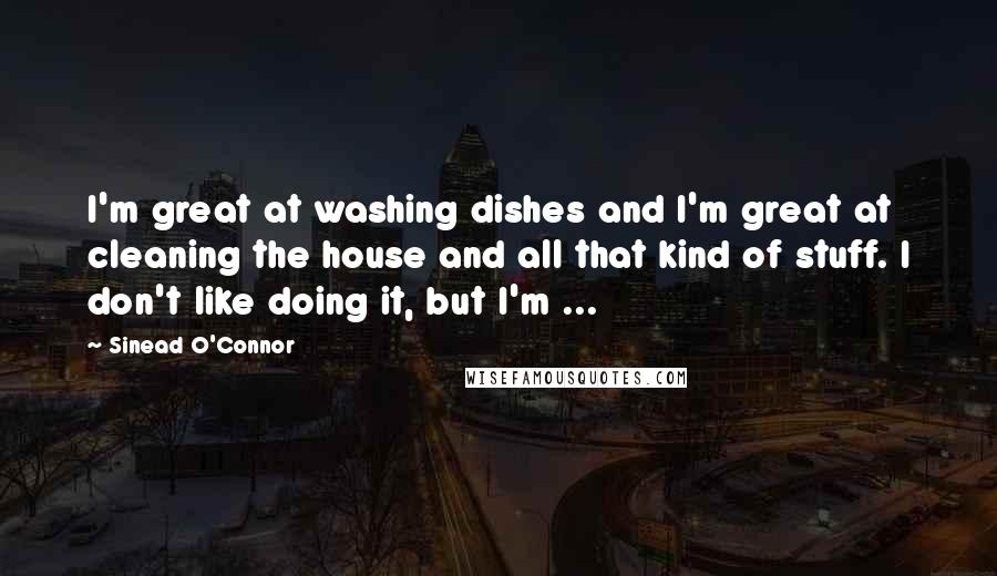 Sinead O'Connor Quotes: I'm great at washing dishes and I'm great at cleaning the house and all that kind of stuff. I don't like doing it, but I'm ...