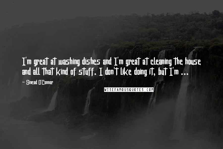 Sinead O'Connor Quotes: I'm great at washing dishes and I'm great at cleaning the house and all that kind of stuff. I don't like doing it, but I'm ...
