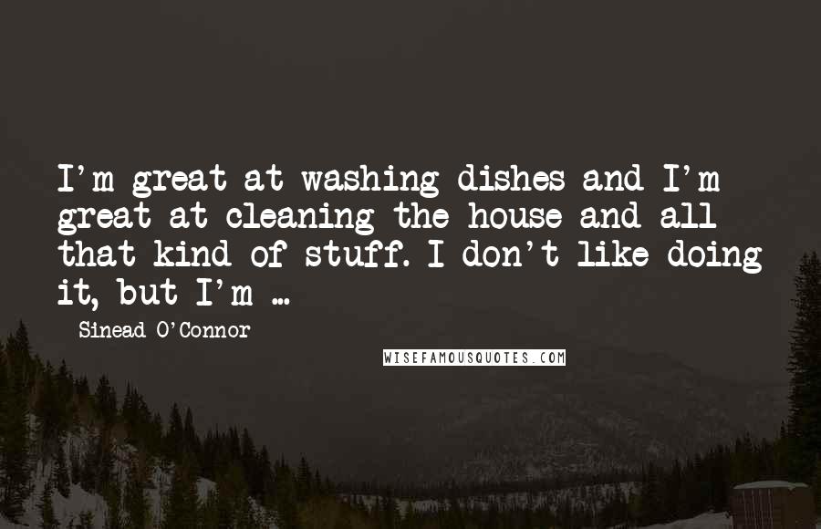 Sinead O'Connor Quotes: I'm great at washing dishes and I'm great at cleaning the house and all that kind of stuff. I don't like doing it, but I'm ...