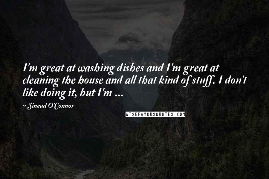 Sinead O'Connor Quotes: I'm great at washing dishes and I'm great at cleaning the house and all that kind of stuff. I don't like doing it, but I'm ...