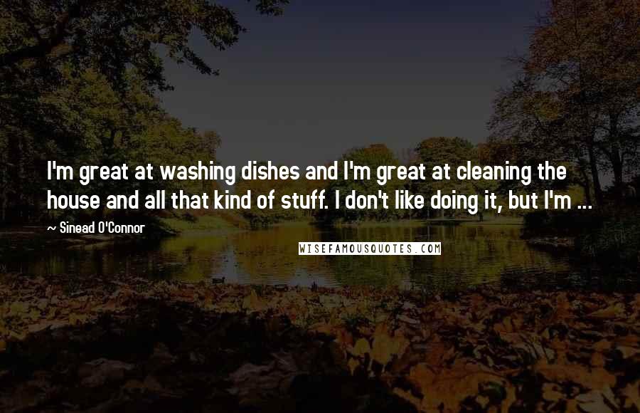 Sinead O'Connor Quotes: I'm great at washing dishes and I'm great at cleaning the house and all that kind of stuff. I don't like doing it, but I'm ...