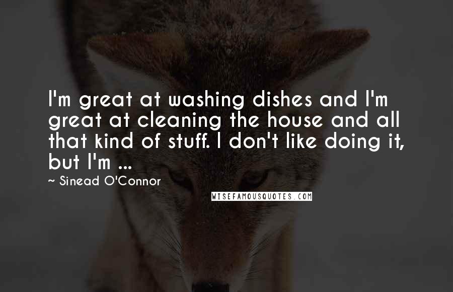 Sinead O'Connor Quotes: I'm great at washing dishes and I'm great at cleaning the house and all that kind of stuff. I don't like doing it, but I'm ...