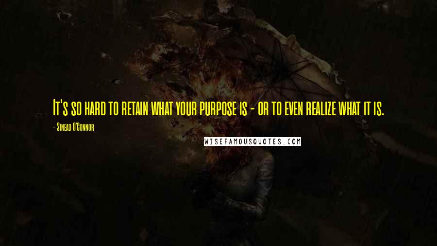 Sinead O'Connor Quotes: It's so hard to retain what your purpose is - or to even realize what it is.