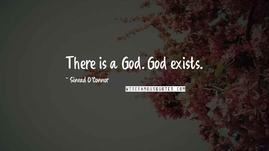 Sinead O'Connor Quotes: There is a God. God exists.