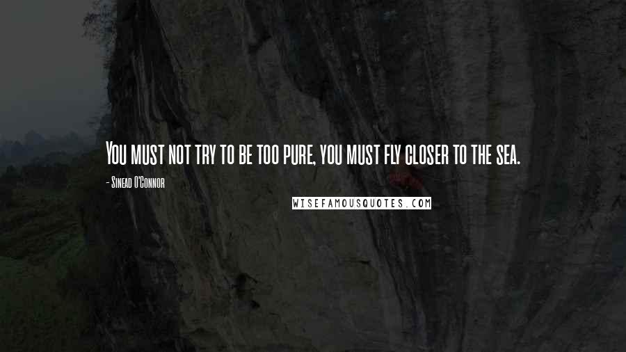 Sinead O'Connor Quotes: You must not try to be too pure, you must fly closer to the sea.