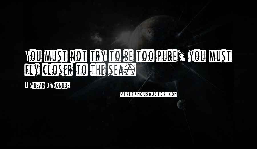 Sinead O'Connor Quotes: You must not try to be too pure, you must fly closer to the sea.